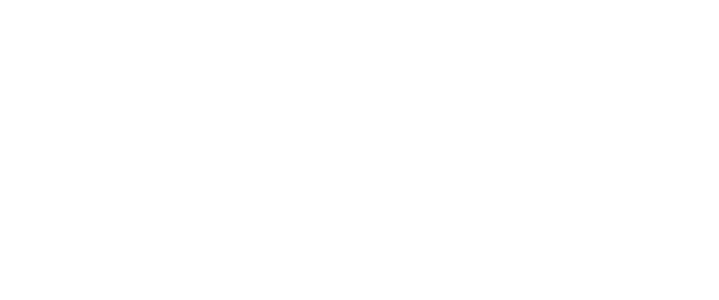 first whistle