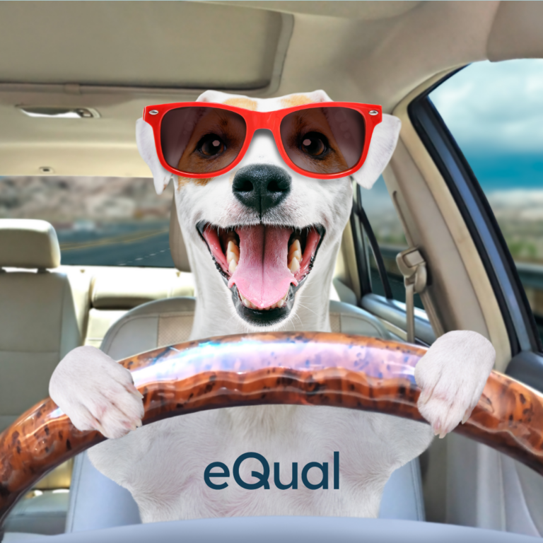 Kuvituskuvassa koira pitää auton ratista kiinni (tekoälypohjainen kuva)